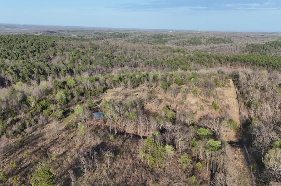 DJI_20250403191201_0099_D