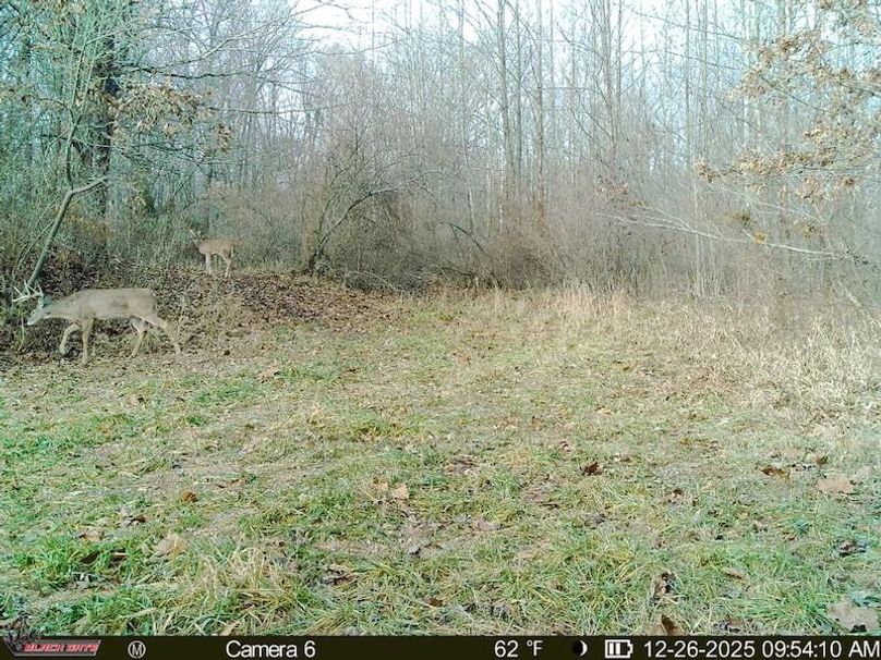 25796CE9-63D5-4EB2-B73E-AB44A97CBE05