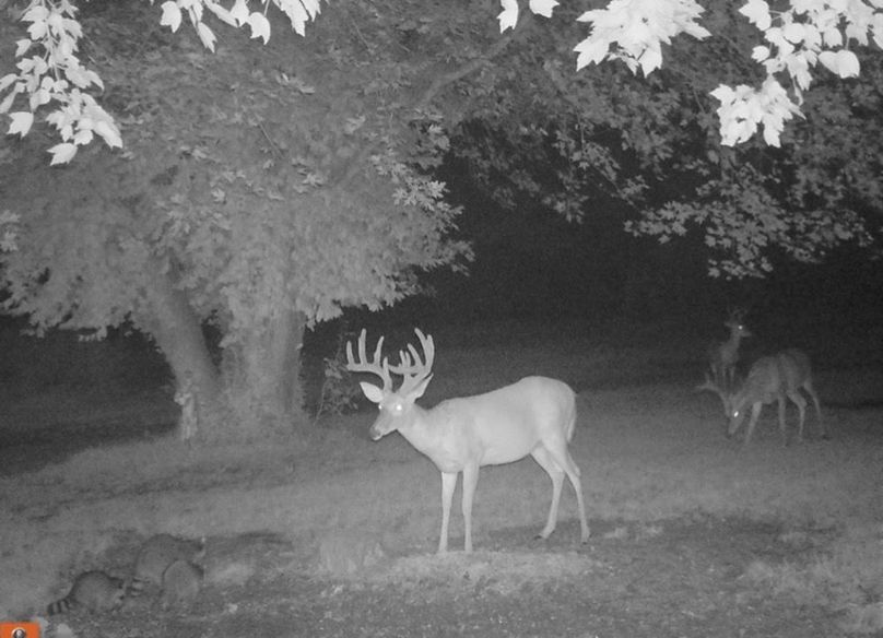 867C72CB-8292-4417-9623-BB7F3F1BDEB3