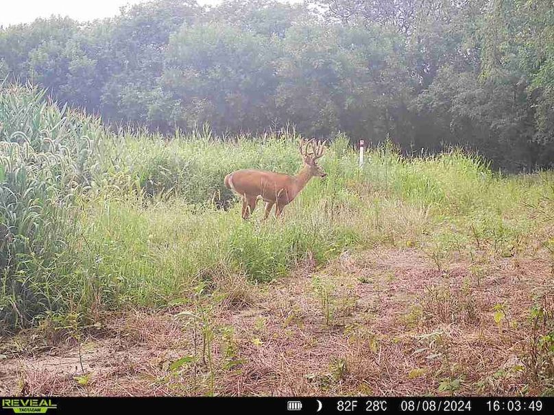 860322064829176-100-3-08082024160348-V-W1001392