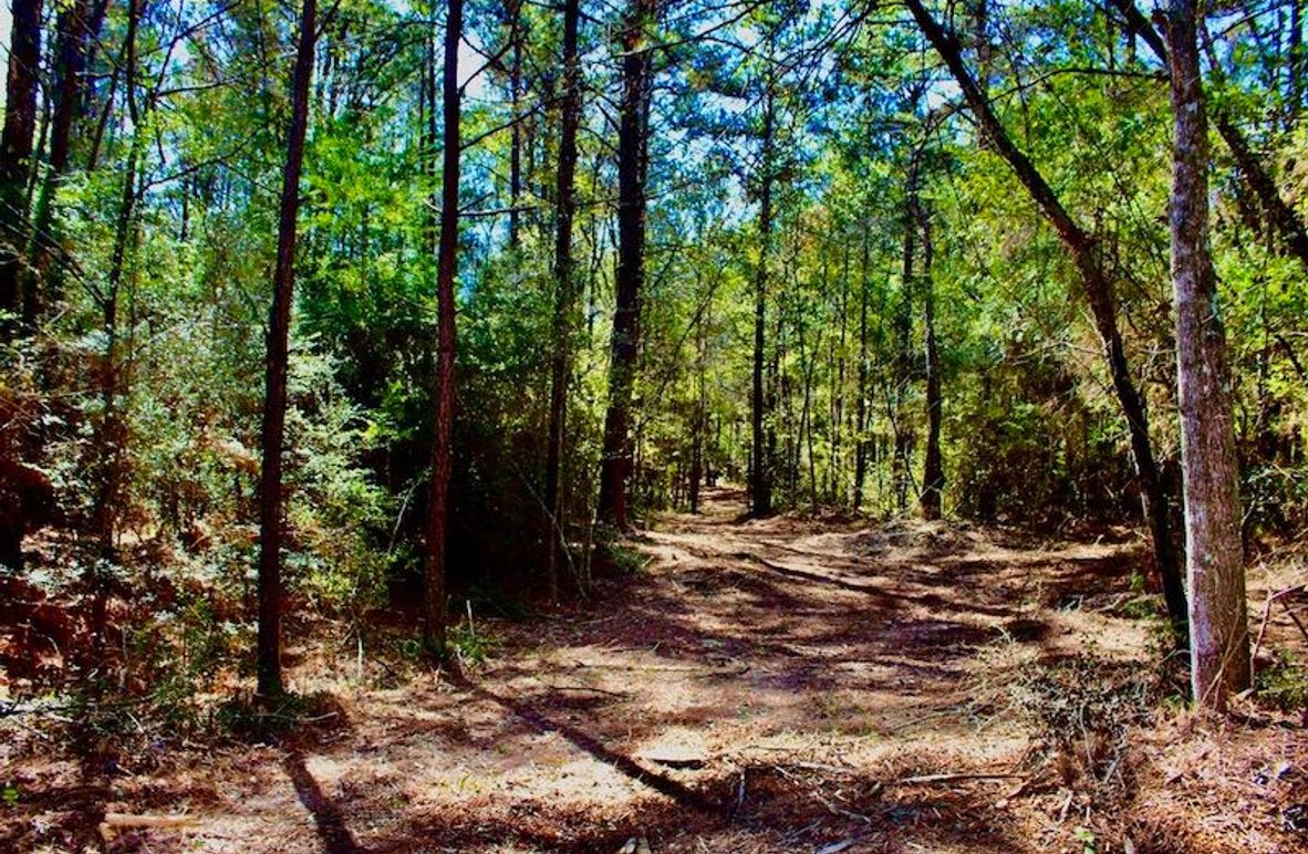 2A8CA3A7-9993-4209-88A8-68DB98F81DCF_1_105_c