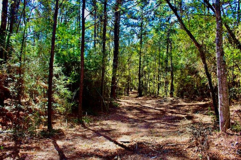 2A8CA3A7-9993-4209-88A8-68DB98F81DCF_1_105_c