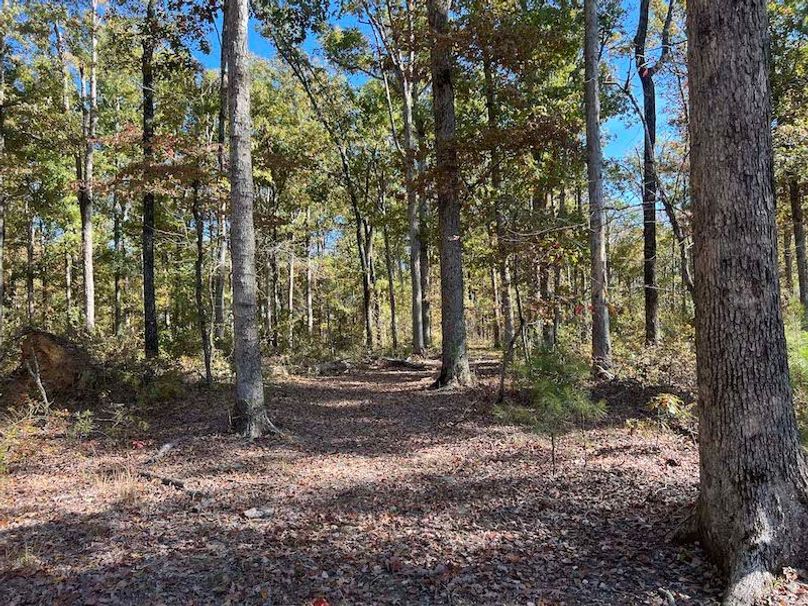 jeff 5020251111_0325