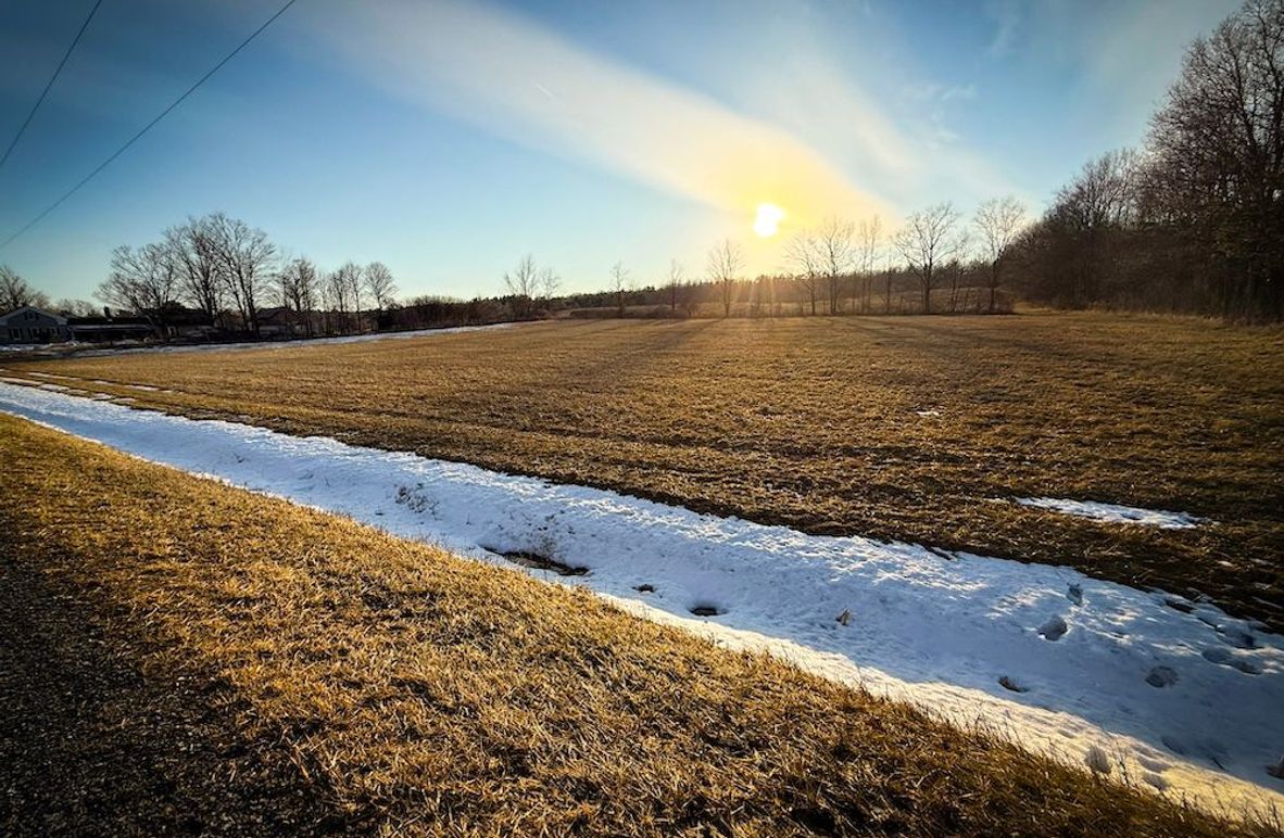 Seneca_24.54_Hohwald_Photos_4