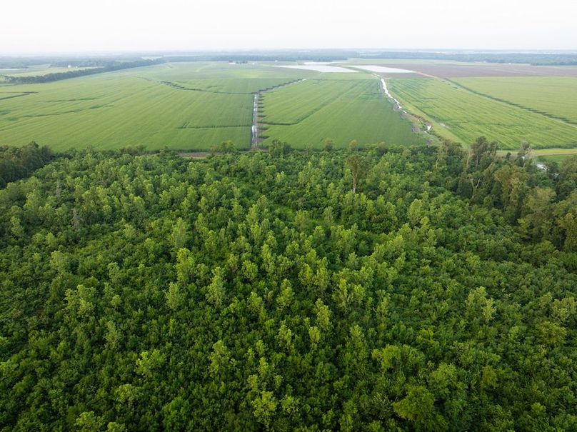 Copy of Noxubee 70 +- Tract 3-17