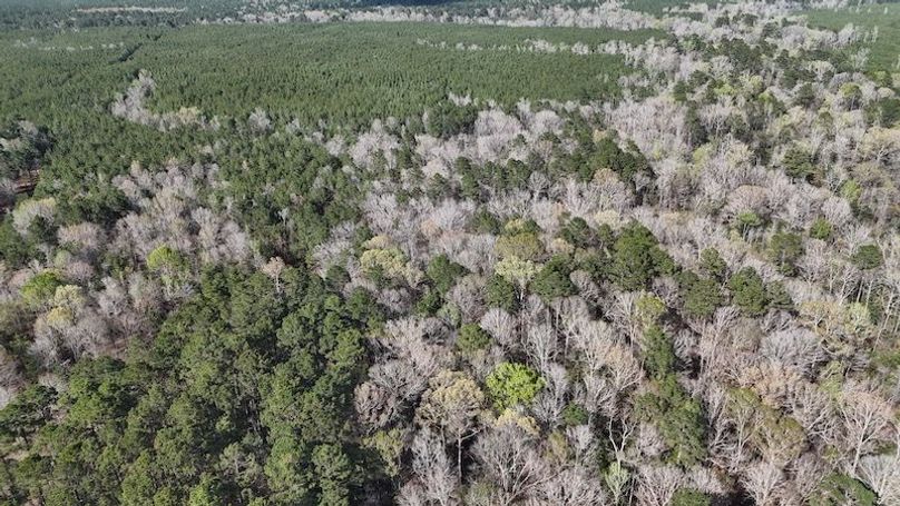 dji_fly_20260305_050426_0088_1772672662712_photo