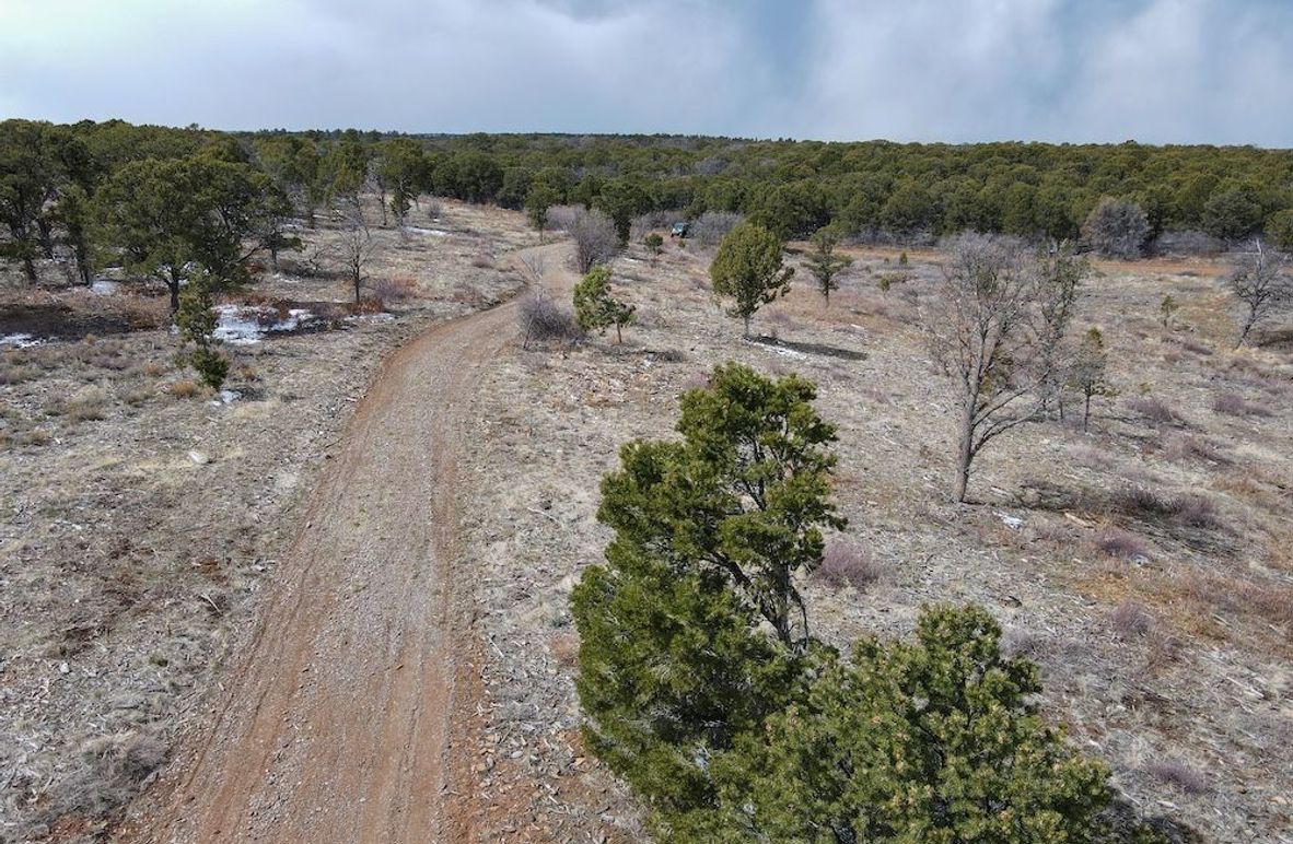 DJI_0915