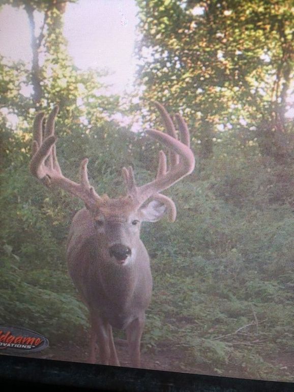 58957867051__C85F17D2-15C1-4342-BF23-588FA678D3AB