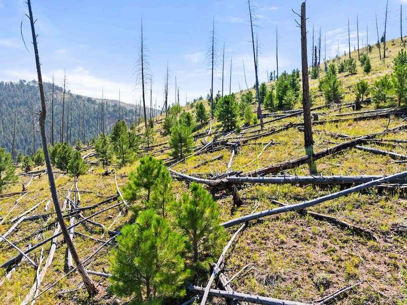 DJI_20250813111829_0075_D_1