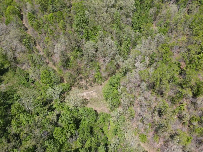 015 great cleared area atop the East ridge