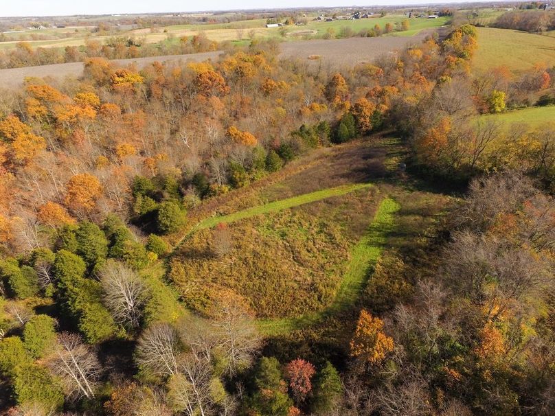 Fleming Petry 115-07