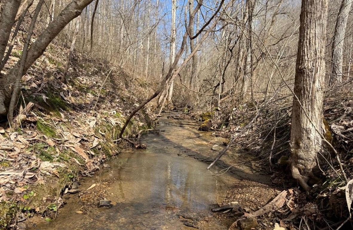 004 the stream leading out of the north watershed near the east boundary