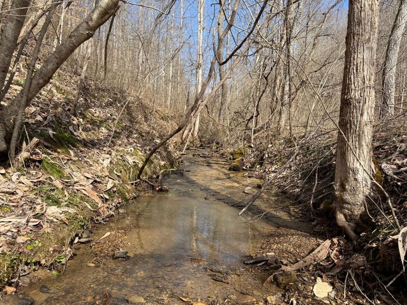 004 the stream leading out of the north watershed near the east boundary