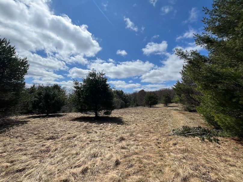Chemung_116.3_Stamm Photo 45