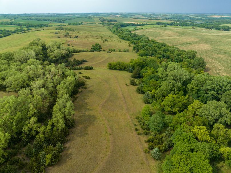 20230616-DJI_0372