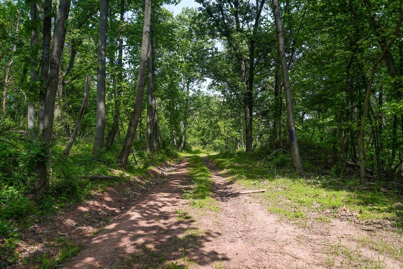 York 86 Ground Photos-02