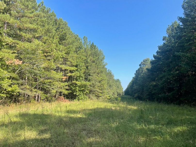 745A629E-4587-4EFE-9936-00F6072AFA06_1_105_c