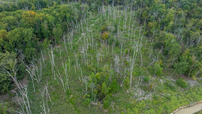 DJI_20250909194524_0024_D