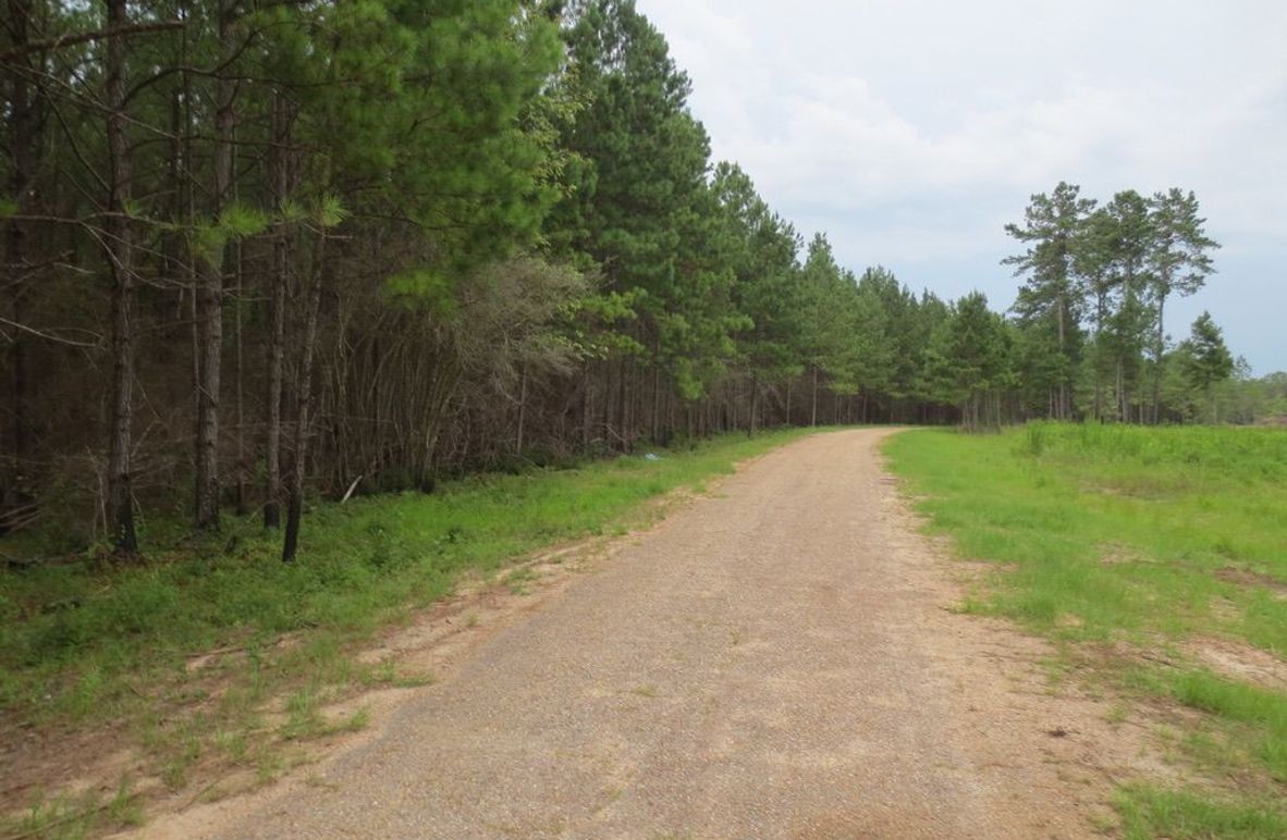 7CE60916-FFDB-4A14-B9F4-7C28FBA3D907_1_105_c