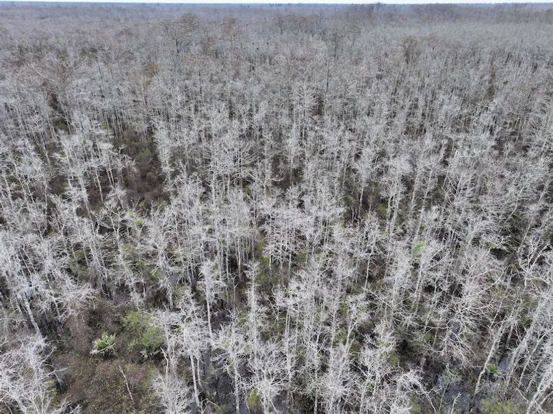 dji_fly_20260123_132446_0947_1769444770942_photo