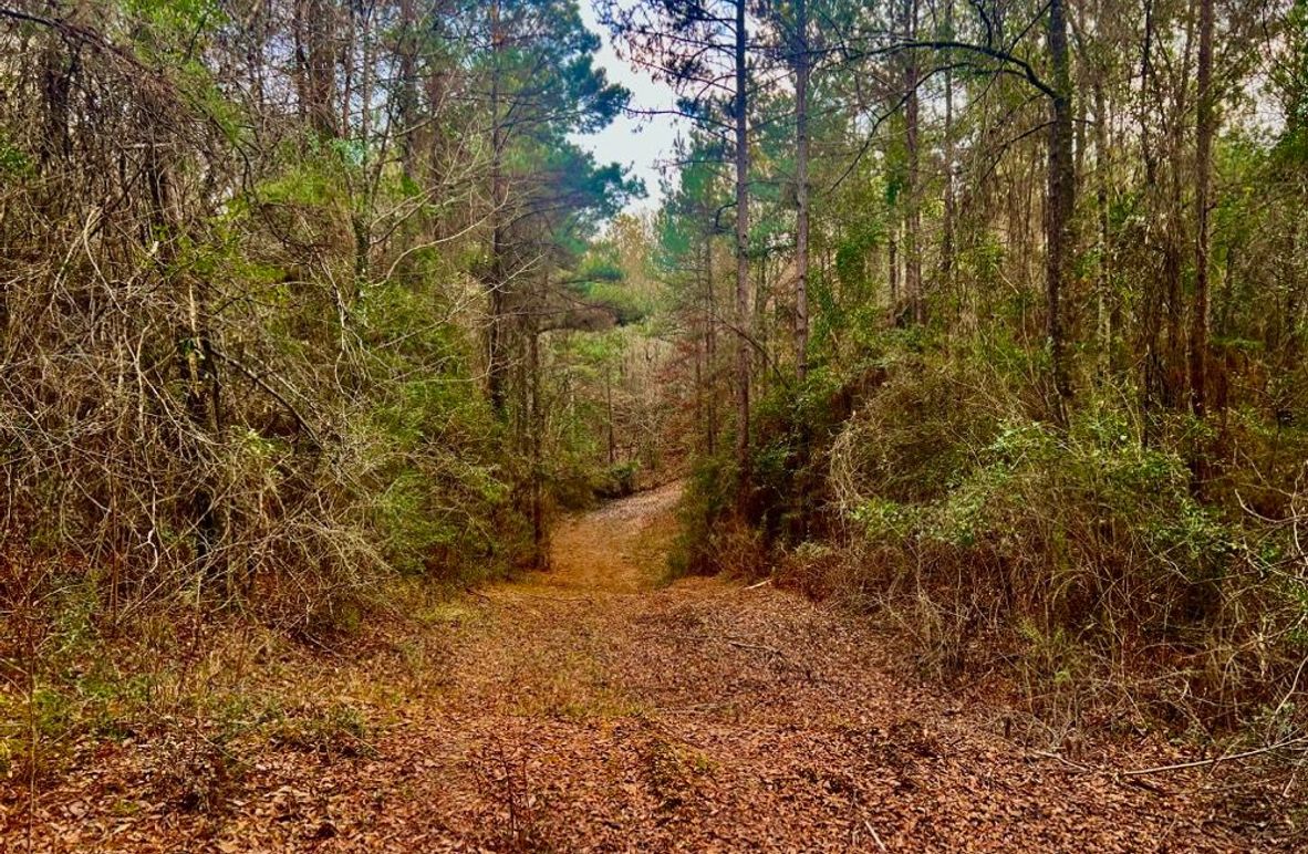 3B6C116F-46FA-419A-BF21-B028CBBB371F_1_201_a