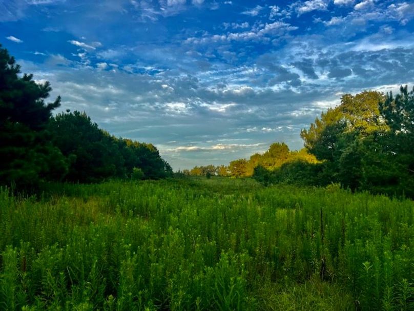 EFB2F1FA-80ED-4109-9154-0555091EDCE8_1_105_c