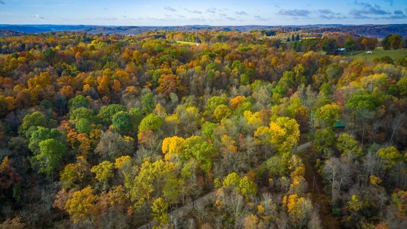 07-zj 31961 Township Rd 381006