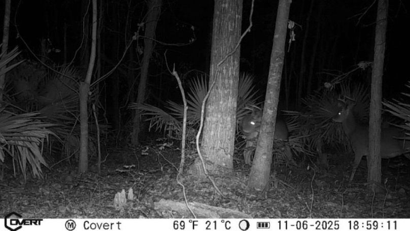 JPEG image-4AAB-9CFF-6C-0-2