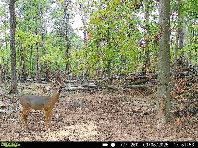 868032068723497-100-4-09052025181216-HD-SYFW0167