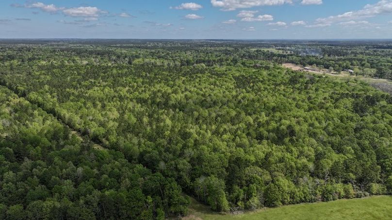 DJI_20260327120000_0054_D