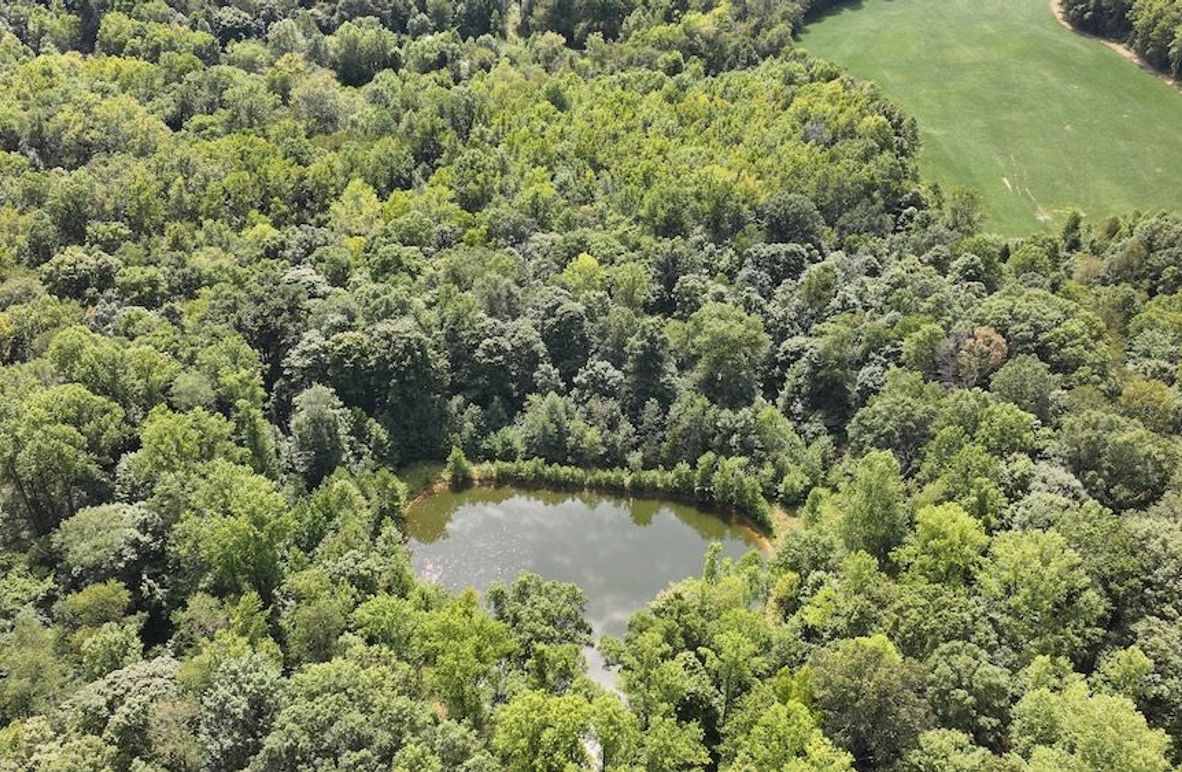 dji_fly_20240904_133012_0372_1725471195229_photo