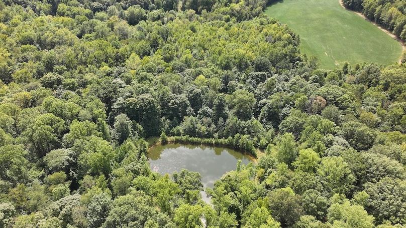 dji_fly_20240904_133012_0372_1725471195229_photo
