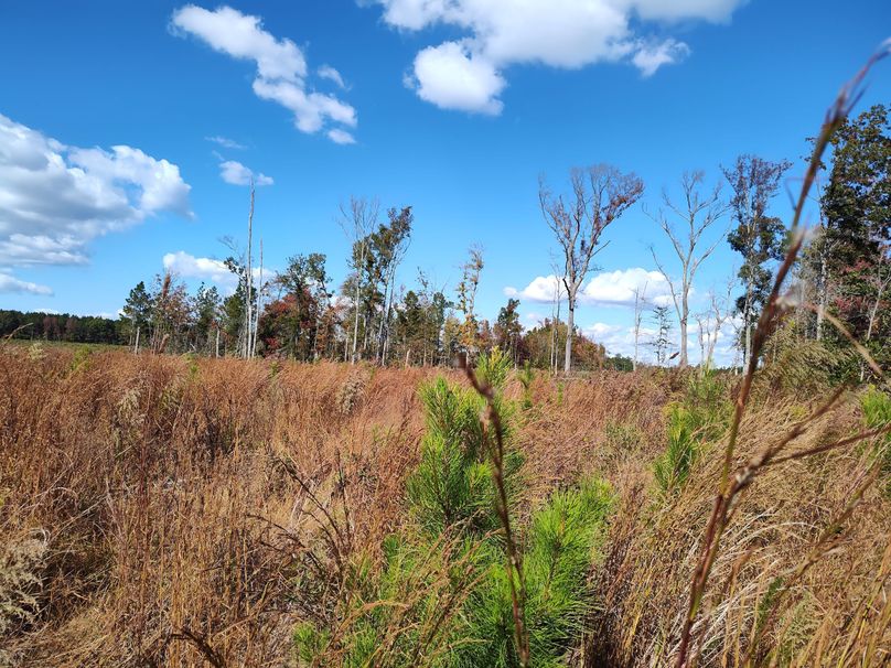 IMG_20231022_140002118