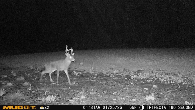 2026012501315701000776_2_ColorizationType.none