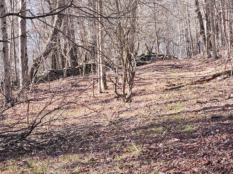 photo_e59ebcaa-d8c9-48a9-8895-096b01e314b3