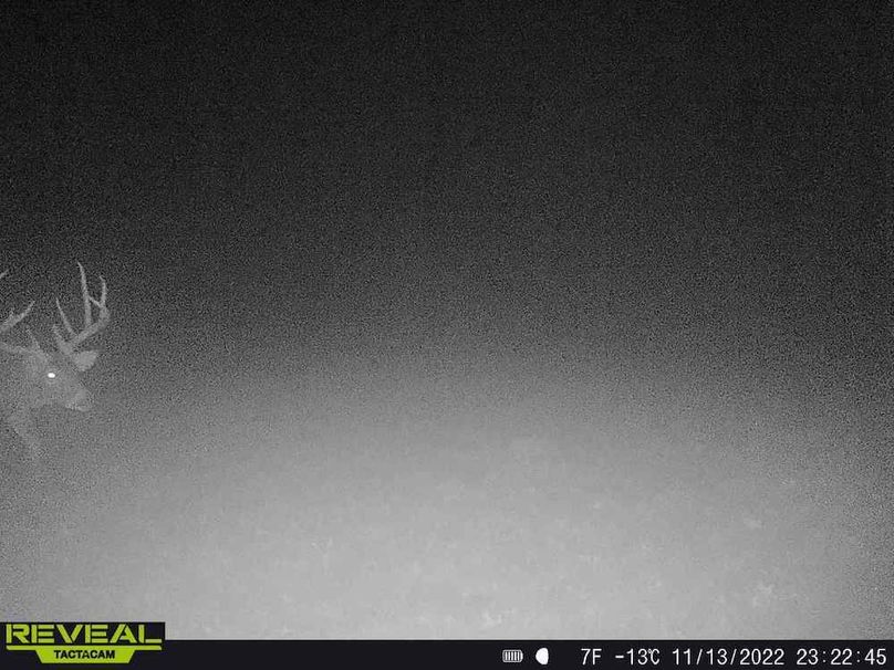 Copy of Trail photos.32