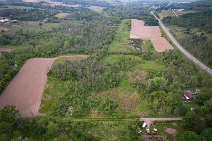 Ontatio_73.3_Green Photo 4