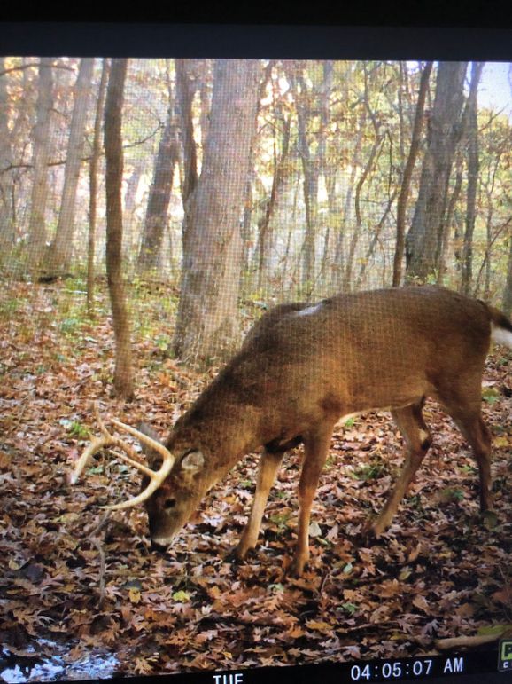 59486967261__ED796C73-0801-4E03-A8D1-0A6F96BDCCF0