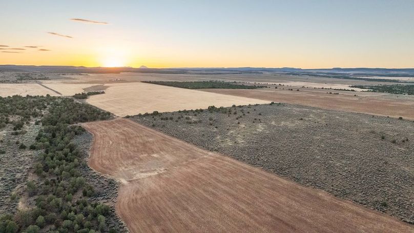 DJI_0379_1