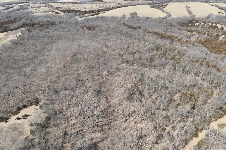 DJI_20250310130155_0004_V