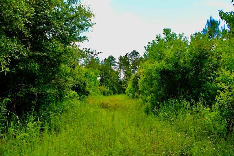 E6A33E78-780F-4C3D-AFFC-192FE23D40F3_1_201_a