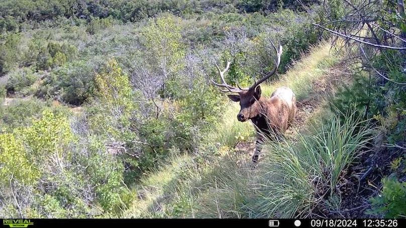 016578000756376-36-3-09182024123526-SYFW00011