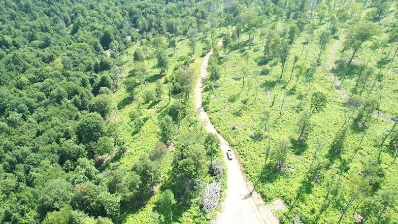 dji_fly_20250624_104616_374_1750776461850_photo