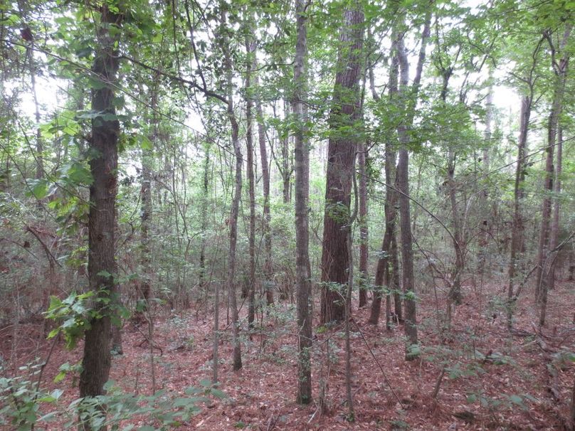 6FBE252A-0EF9-40A0-96DD-F51BF4B3FD97_1_105_c