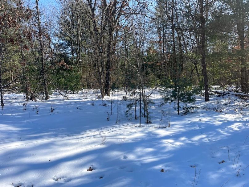 Adams 25, Nessler -37