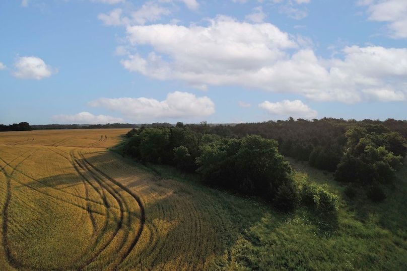 Lamar County- 92.66 Acres (27 of 29)