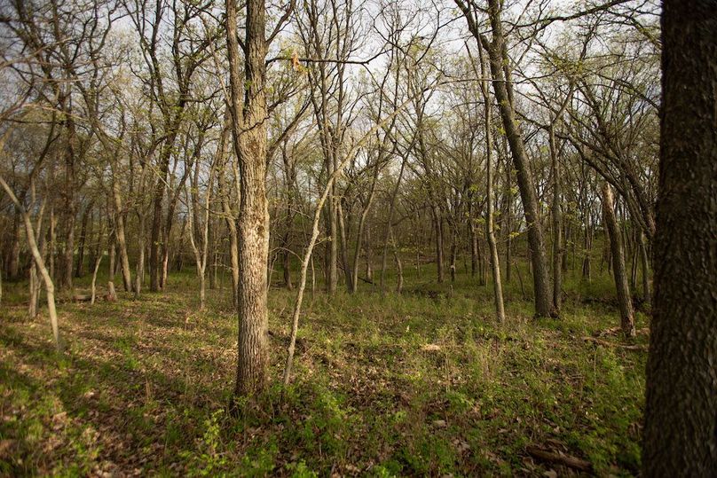 MONTGOMERY CO IA. 156.78_73