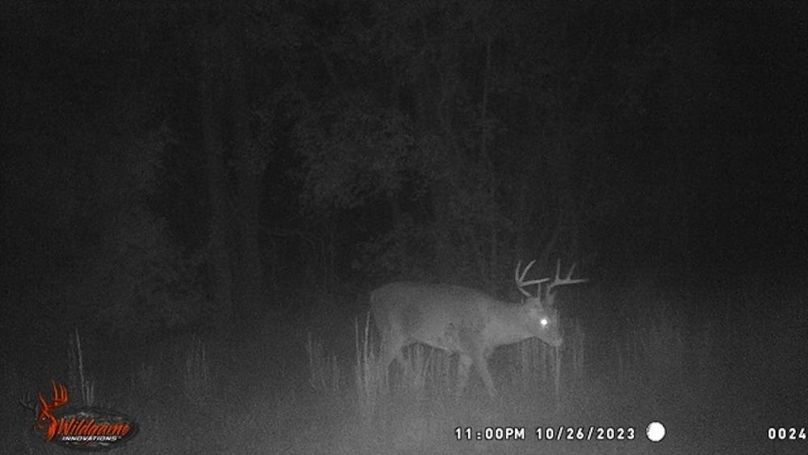 trailcam12