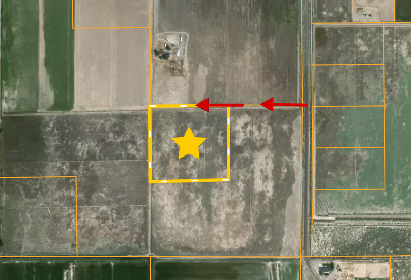 Screen Shot 2023-11-06 at 1.54.42 PM