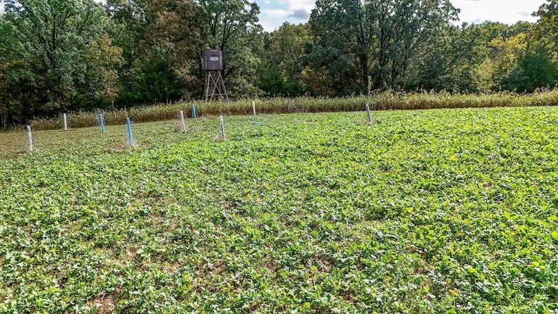 DJI_20251011141256_0062_D